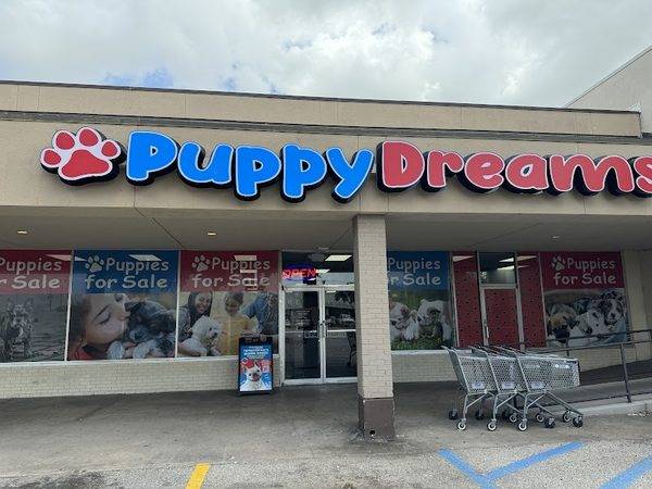 Puppy Dreams - Denton